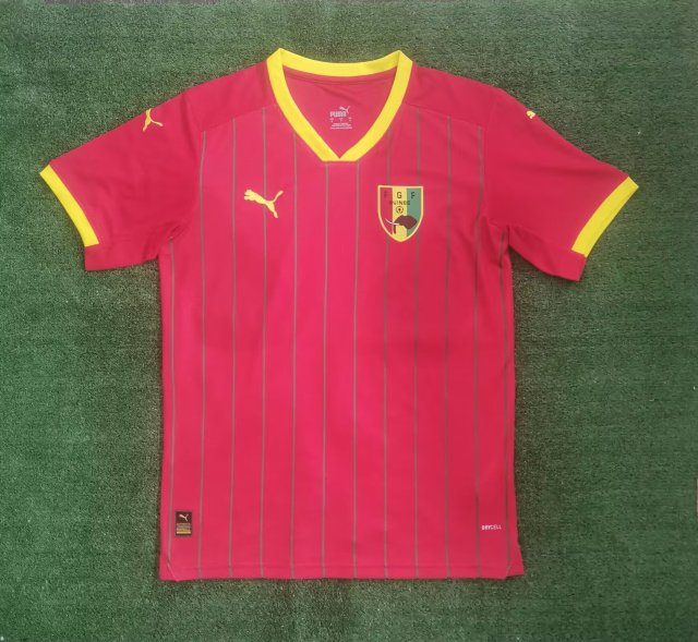 24-25 Guinea Home