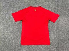 24-25 Wales Home