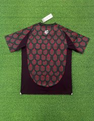 24-25 Mexico Home