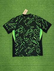 24-25 Nigeria away game