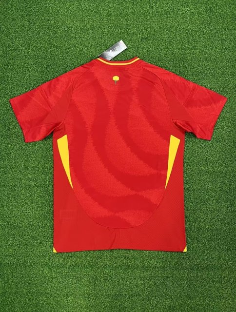 24-25 Spain Home