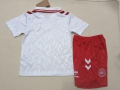 24-25 Danish away kids