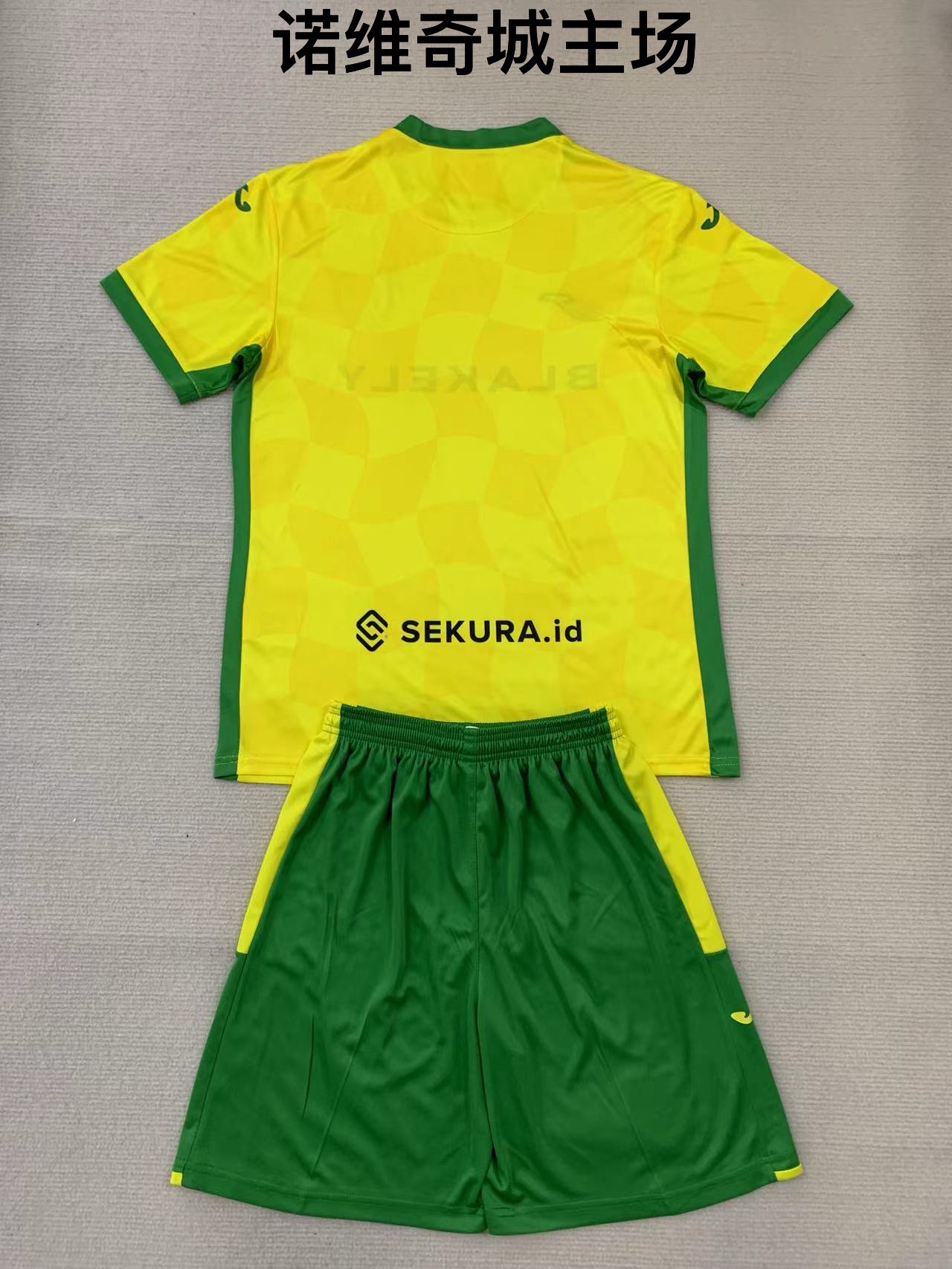 24-25 Norwich City home kids+adult set