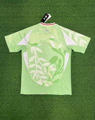 25-26 Italy away game