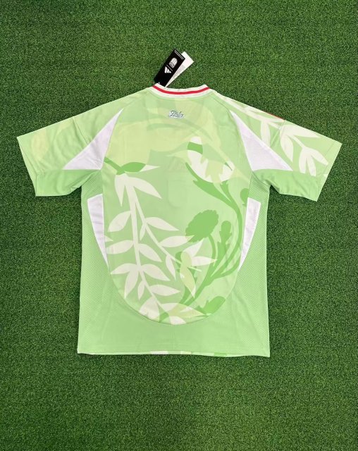 25-26 Italy away game