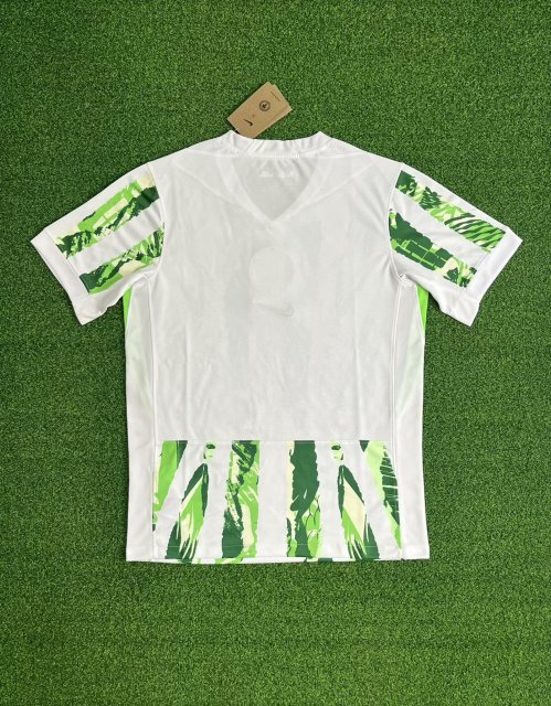 25-26 Nigeria away game