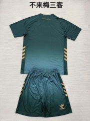 25-26 Werder Bremen 3 away kids+adult set