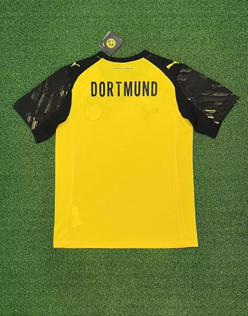25-26 Borussia Dortmund at home