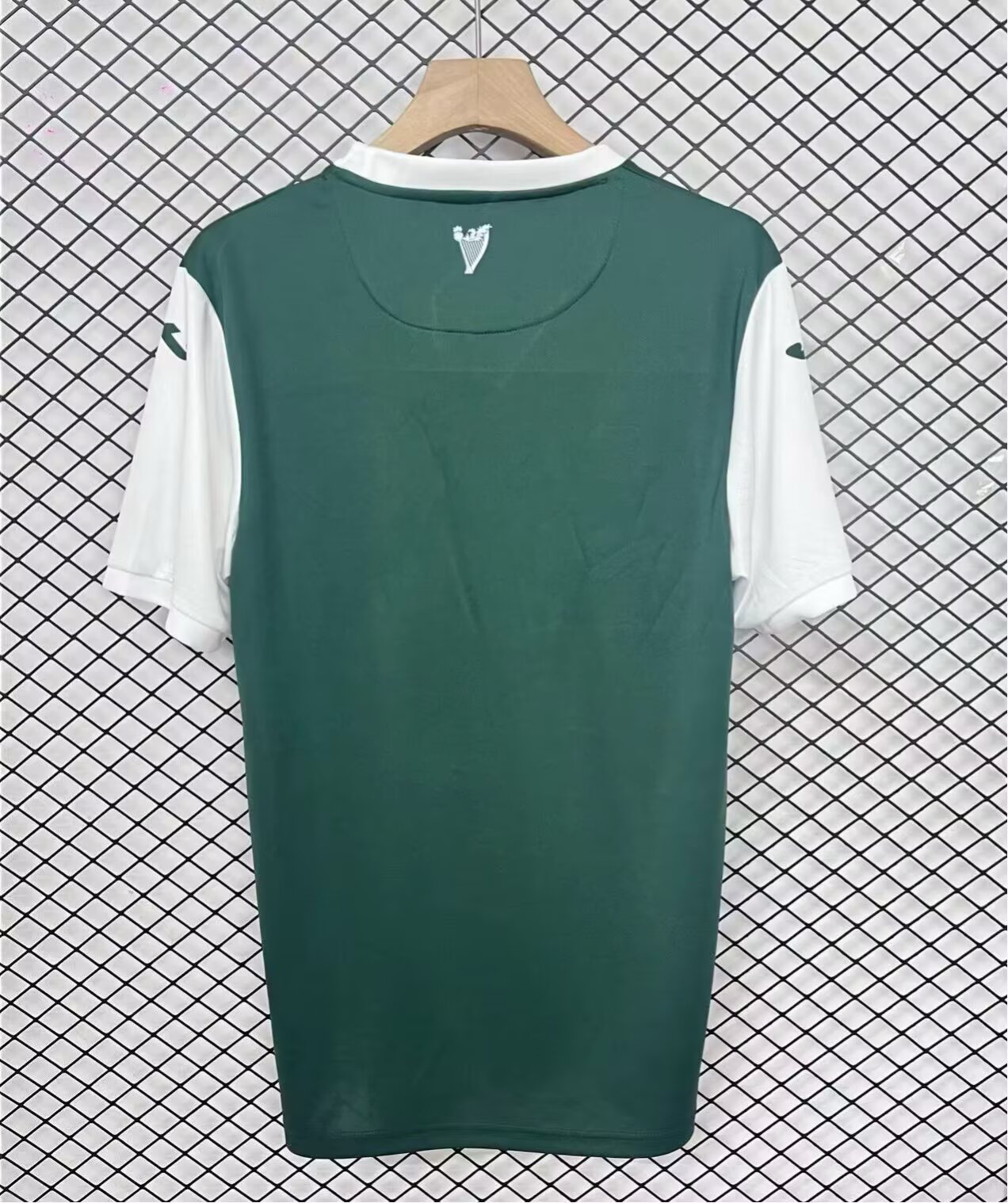 25-26 Hibernian home field