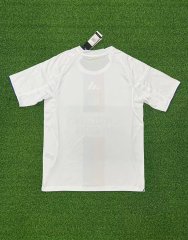 25-26 Lyon home field