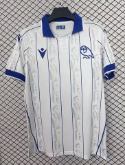 25-26 Sheffield Wednesday 2 away game