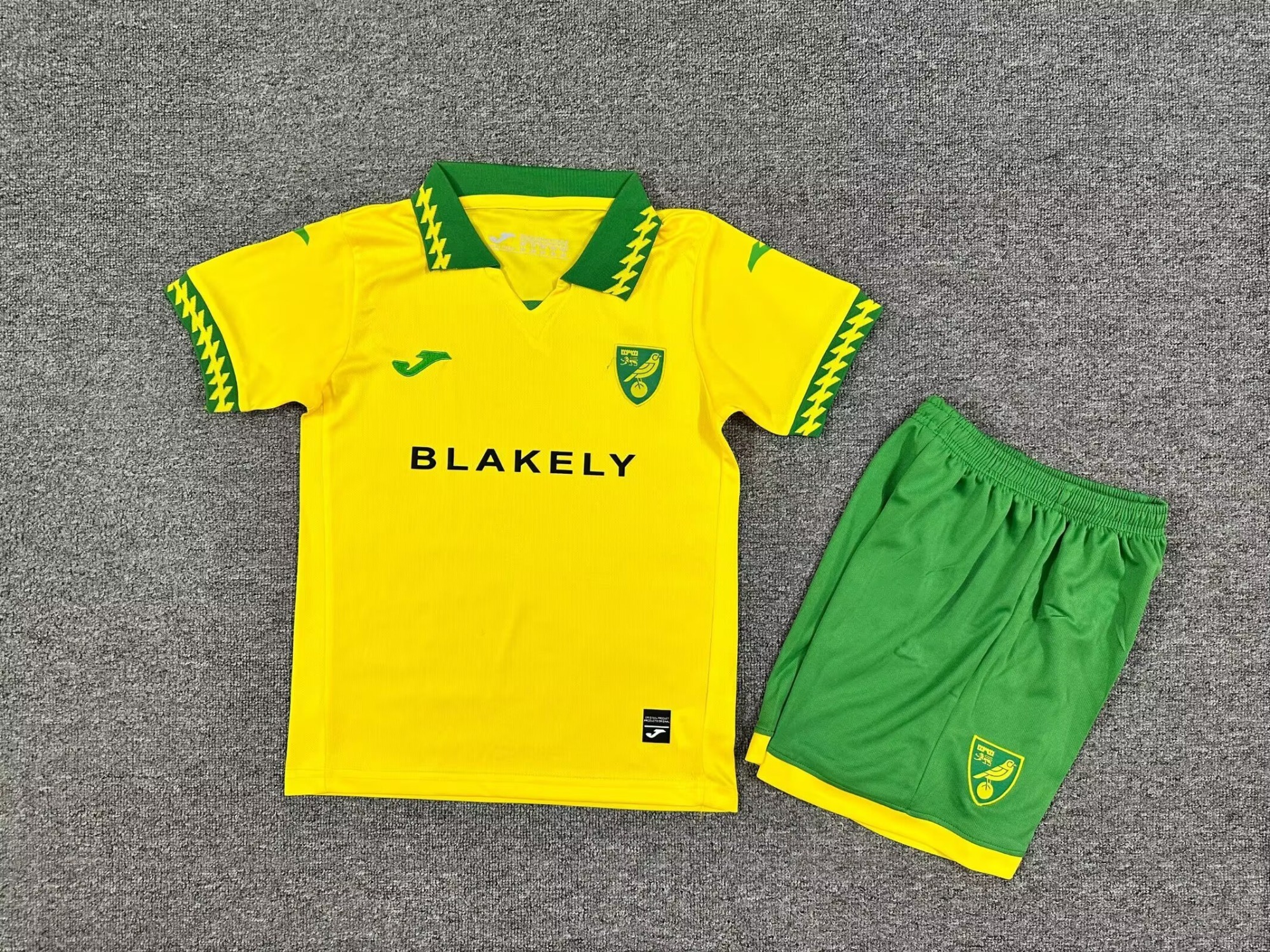 25-26 Norwich Home kids