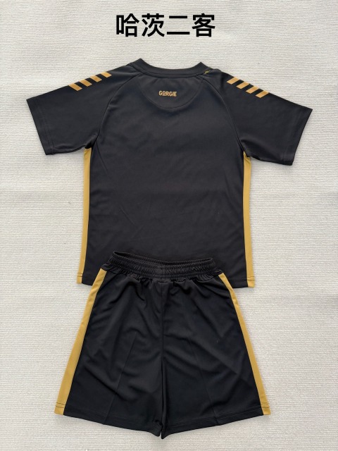 25-26 Hartz 2 away kids+adult set