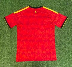 25-26 Belgium home game