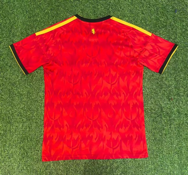 25-26 Belgium home game