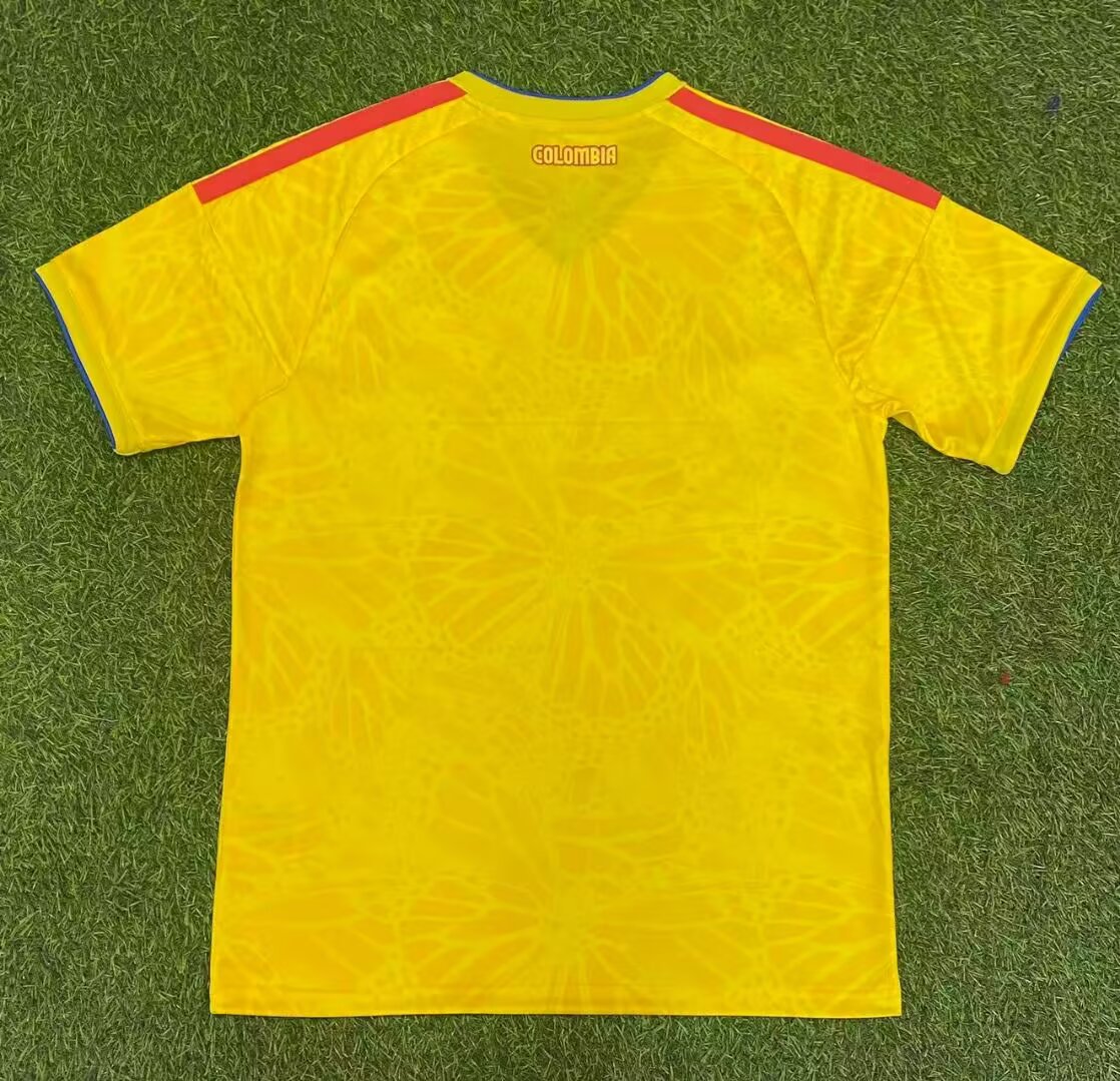 25-26 Colombia home field