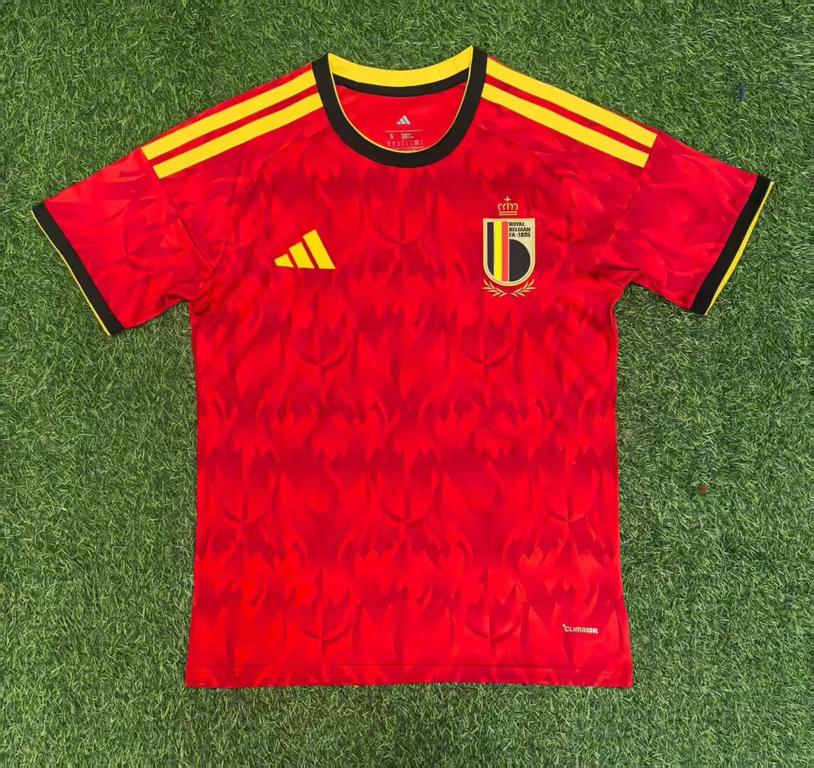 25-26 Belgium home game