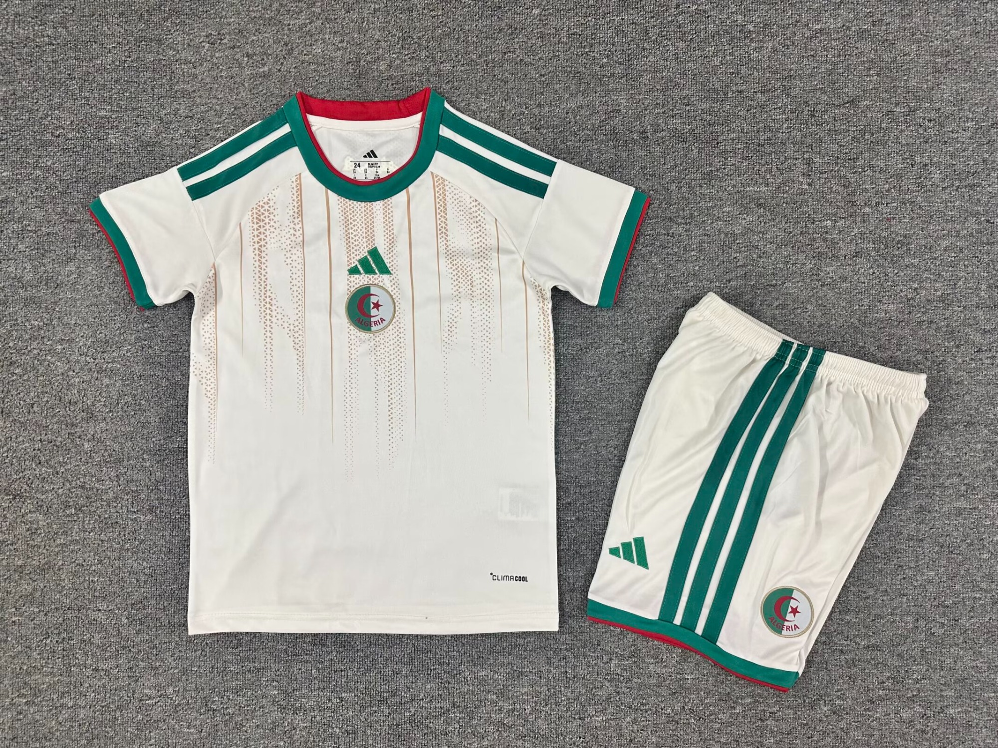 26-27 Algeria home field