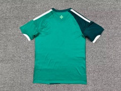 26-27 Northern Ireland Home