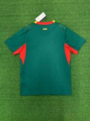 26-27 Senegal away game