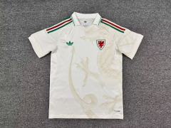 26-27 Wales away game