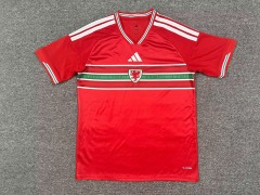 26-27 Wales home court