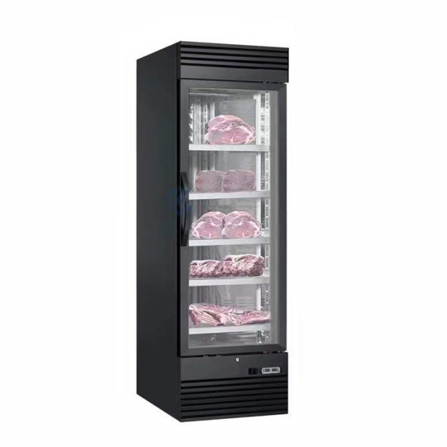 Stainless Steel Beef Dry Refrigerator with Stainless Steel Shelves and LED Light