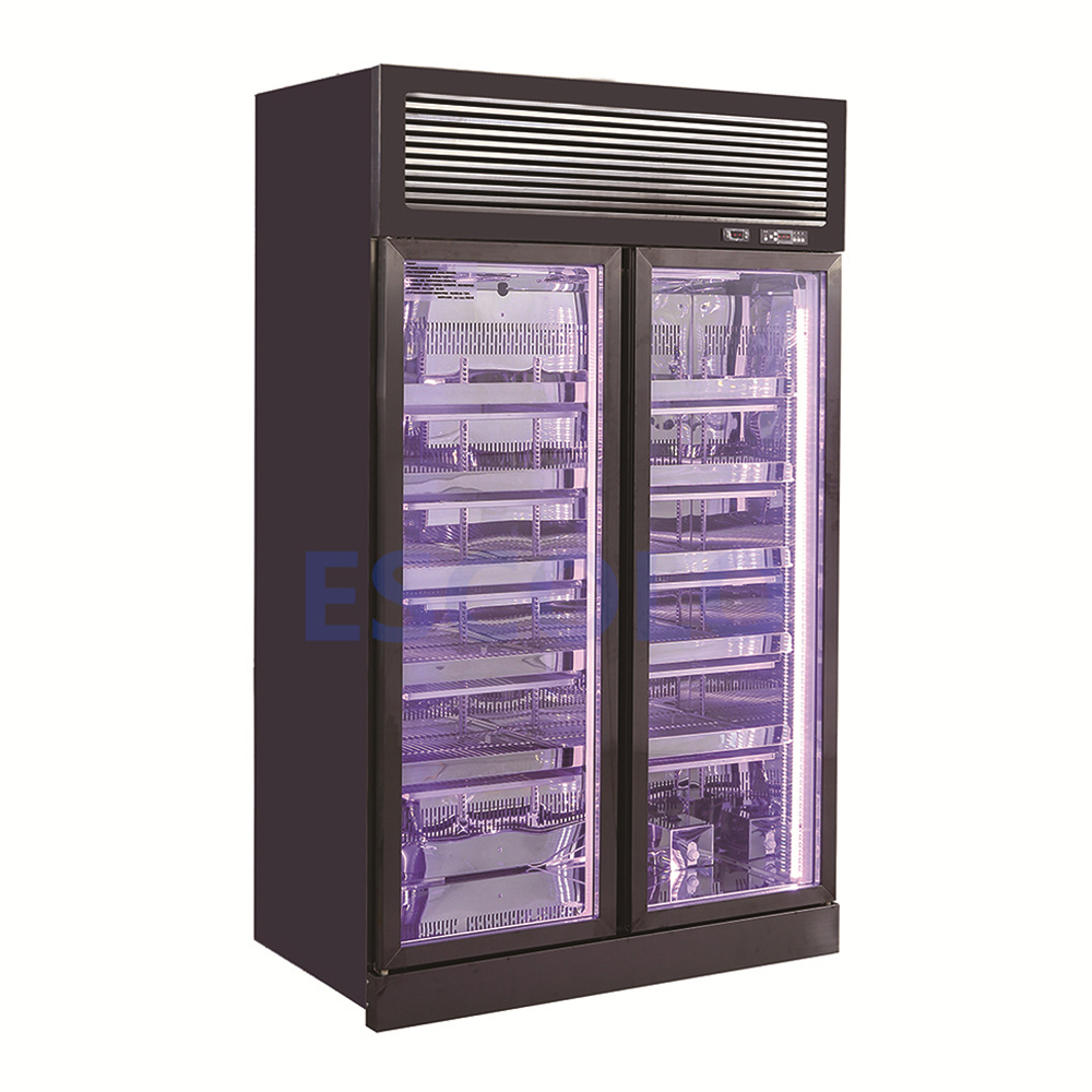 Commercial Stainless Steel Beef Dry Fridge with Top Compressor Mounted