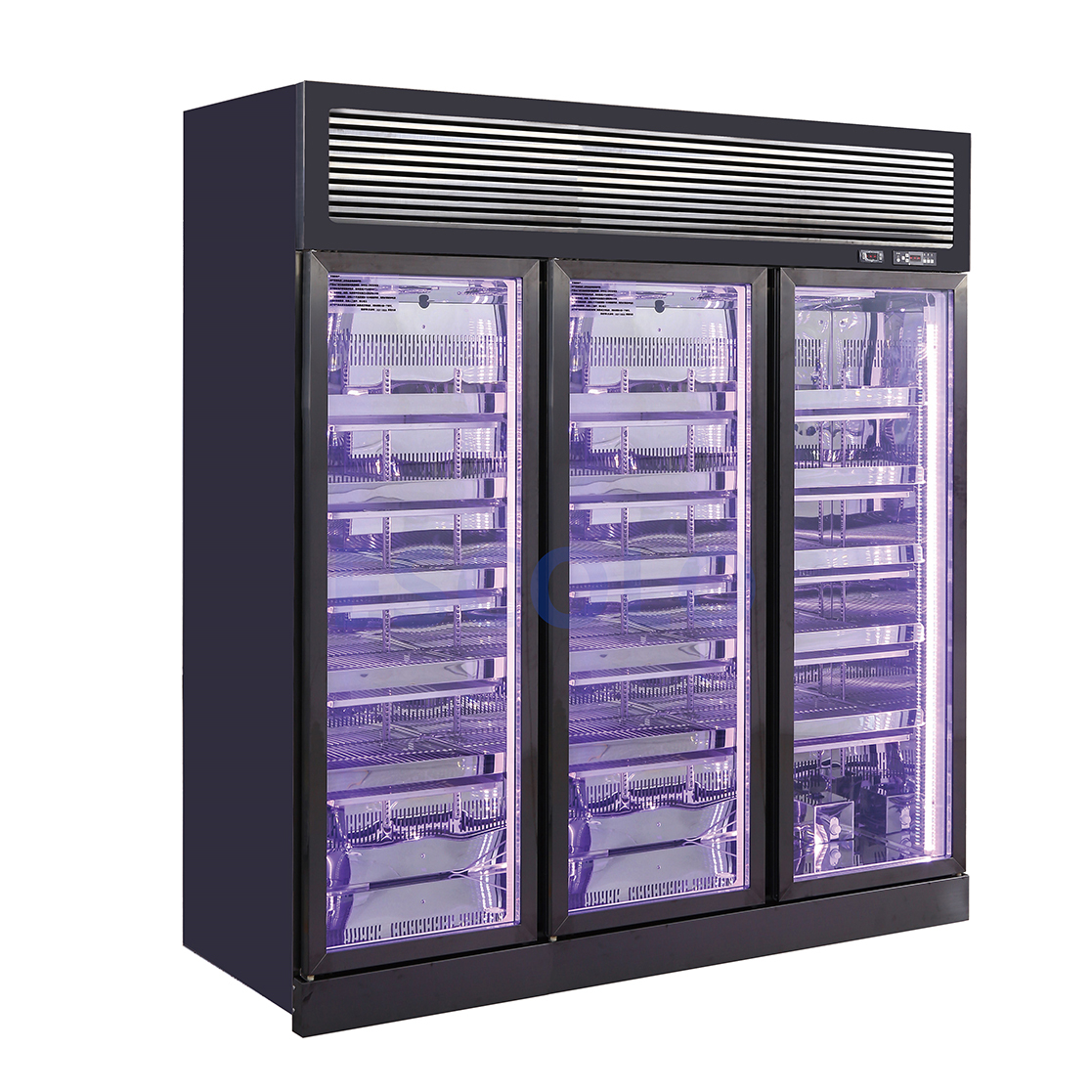 Commercial Stainless Steel Beef Dry Fridge with Top Compressor Mounted