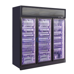 Commercial Stainless Steel Beef Dry Fridge with Top Compressor Mounted