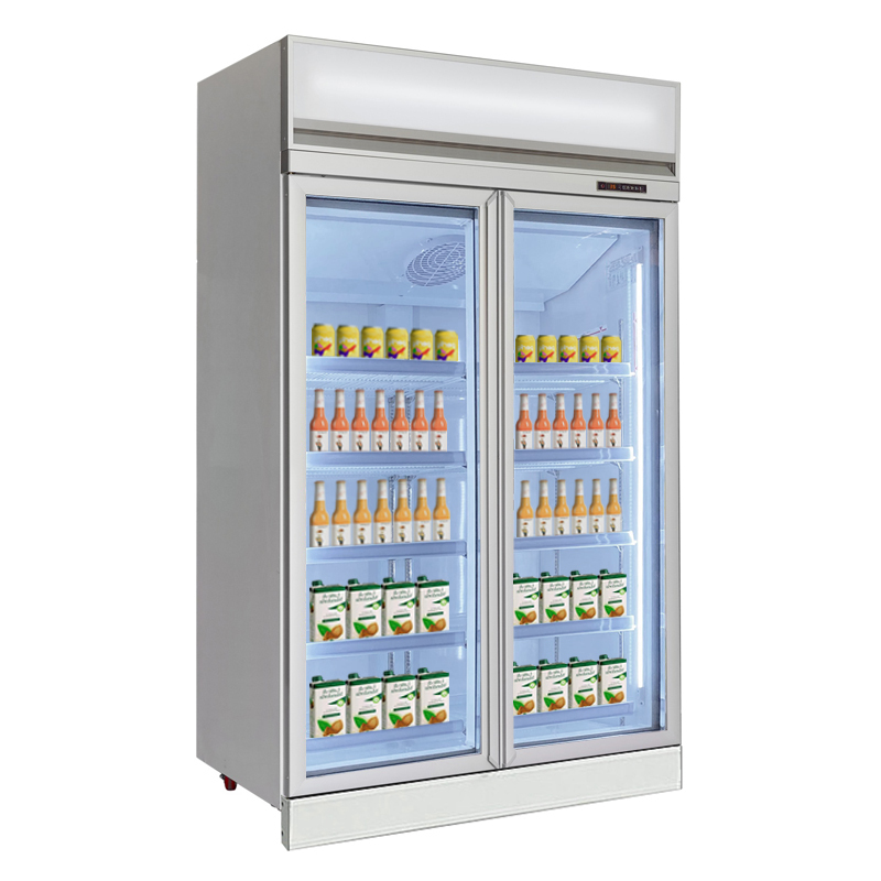 High-Capacity Two-Door Display Fridge for Retail and Supermarkets