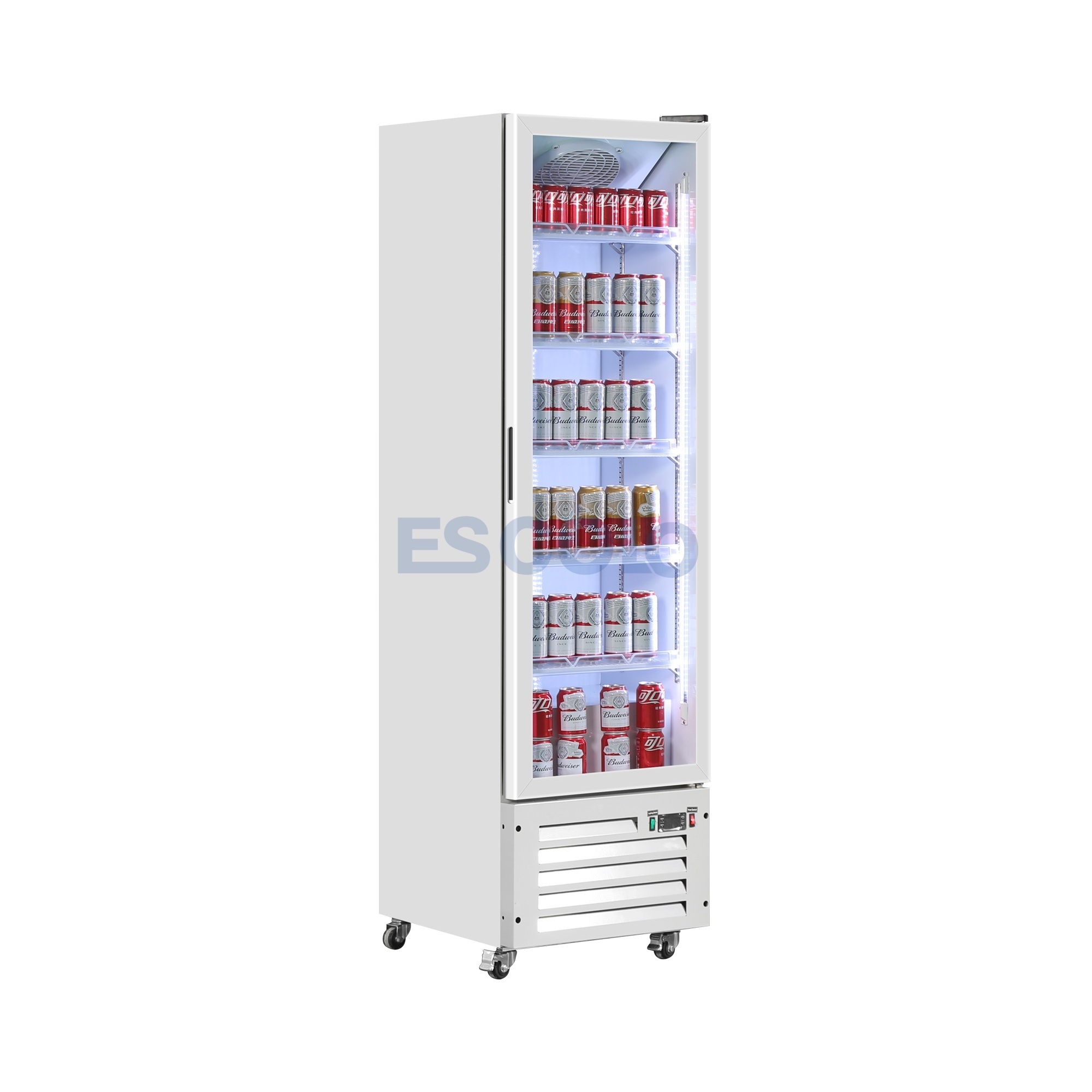 Economic Single Door Beverage Display Cooler for Convenience Store and Supermarket Use
