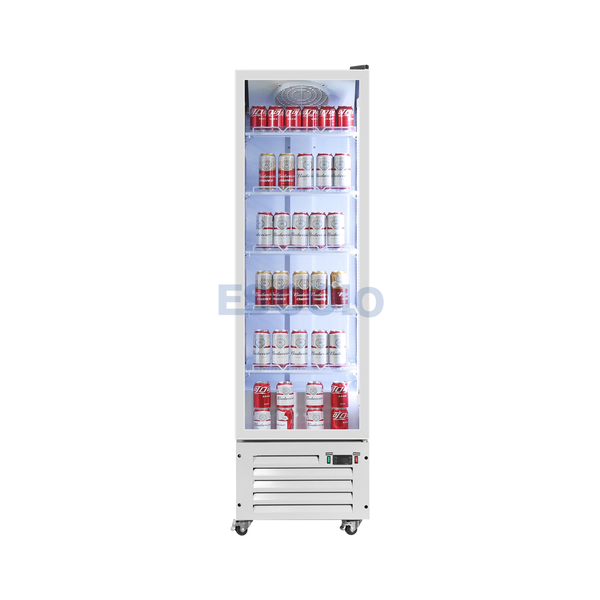 Economic Single Door Beverage Display Cooler for Convenience Store and Supermarket Use