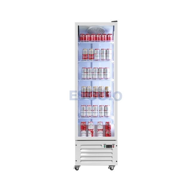 Economic Single Door Beverage Display Cooler for Convenience Store and Supermarket Use