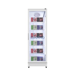 400L Single Door Aluminum-Frame Freezer Built for Ice Cream Stores, Mini Markets & Frozen Snack Display