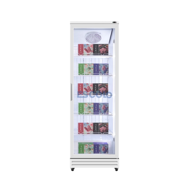 400L Single Door Aluminum-Frame Freezer Built for Ice Cream Stores, Mini Markets & Frozen Snack Display