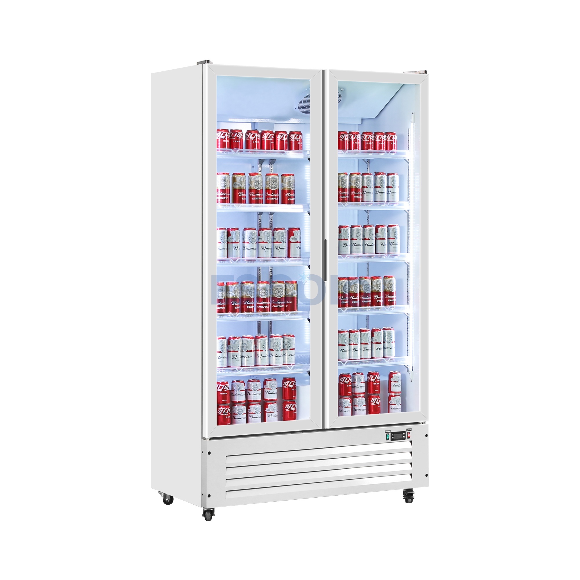 Double Door Economic 750L Display Chiller with Stylish Outlook