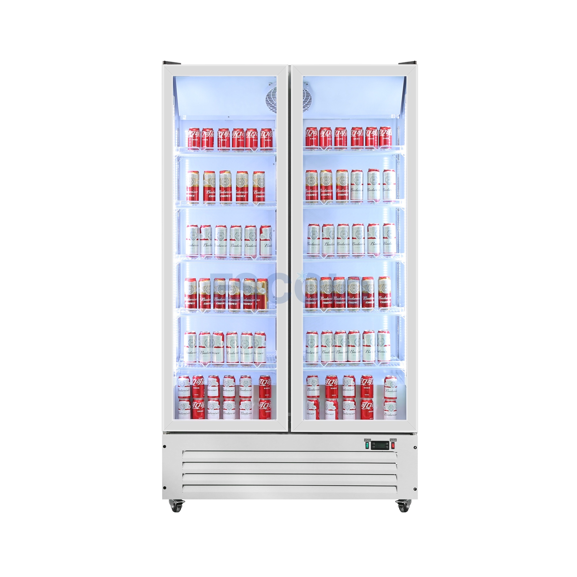 Double Door Economic 750L Display Chiller with Stylish Outlook