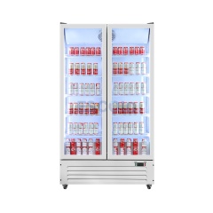 Double Door Economic 750L Display Chiller with Stylish Outlook