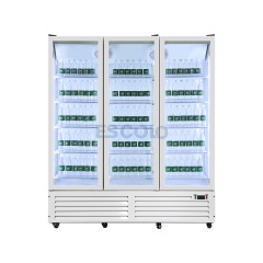 Double Door Economic 750L Display Chiller with Stylish Outlook