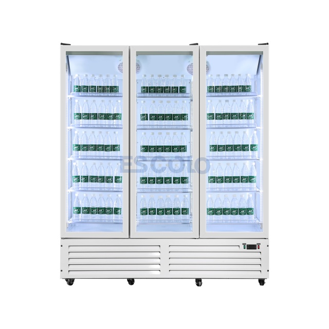 Double Door Economic 750L Display Chiller with Stylish Outlook