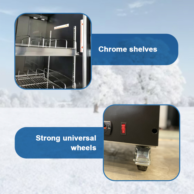 Commercial Three-Door Full Glass Display Cooler with Customized Logo/color