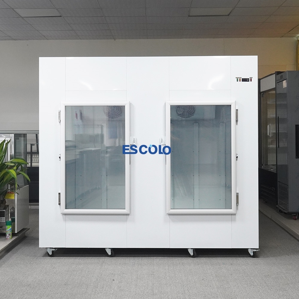2 Glass Door Ice Storage Freezer | Large Capacity Commercial Ice Storage Cabinet