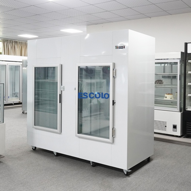 2 Glass Door Ice Storage Freezer | Large Capacity Commercial Ice Storage Cabinet