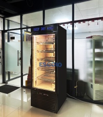 Stainless Steel Beef Dry Refrigerator with Stainless Steel Shelves and LED Light