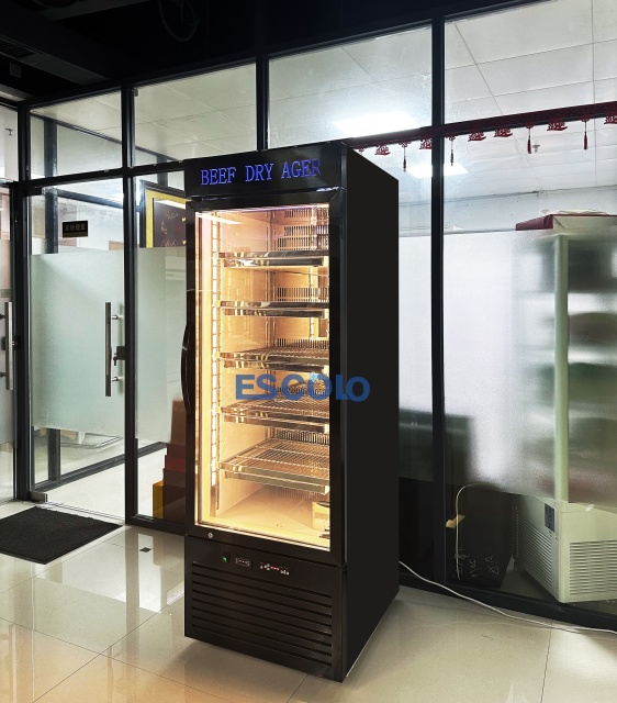 Stainless Steel Beef Dry Refrigerator with Stainless Steel Shelves and LED Light