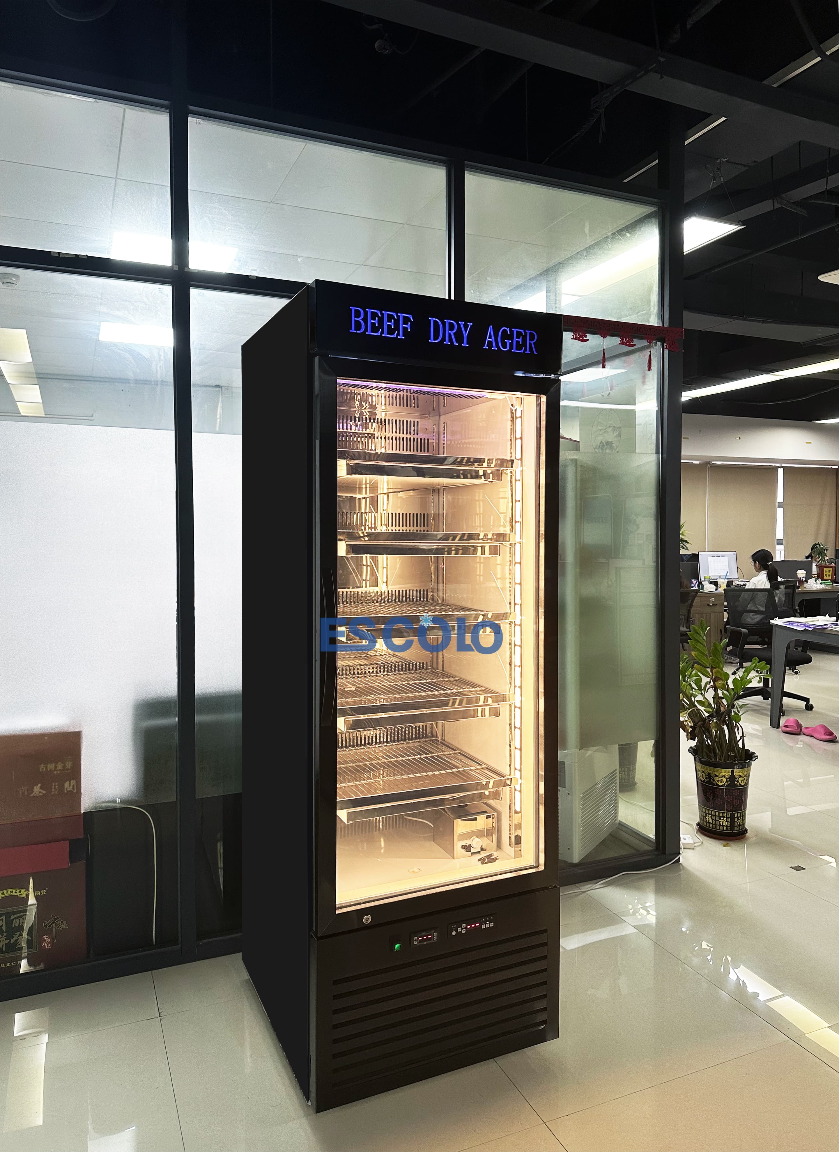 Stainless Steel Beef Dry Refrigerator with Stainless Steel Shelves and LED Light