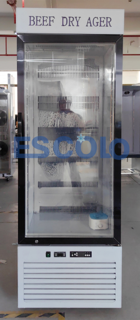 Stainless Steel Beef Dry Refrigerator with Stainless Steel Shelves and LED Light