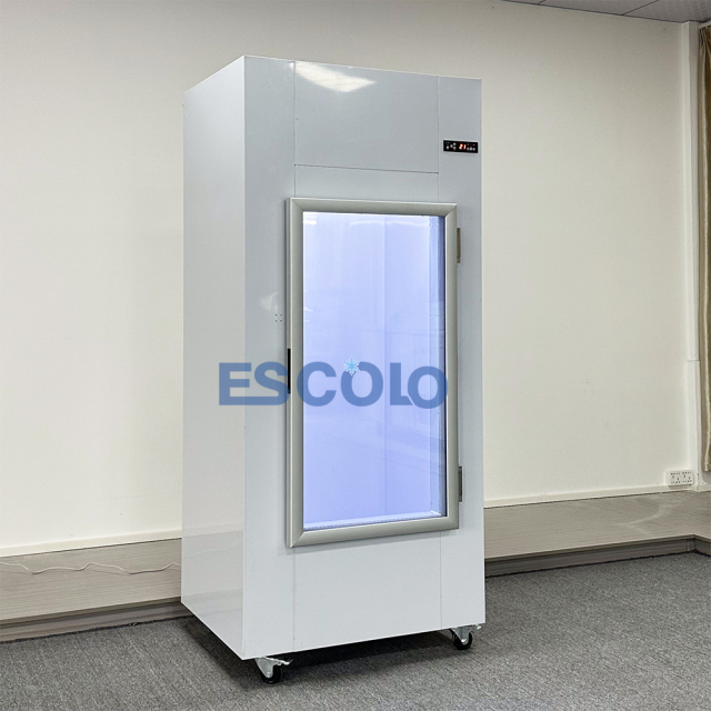 Commercial Glass-Door Ice Storage Freezer with Clear Visibility and High Capacity