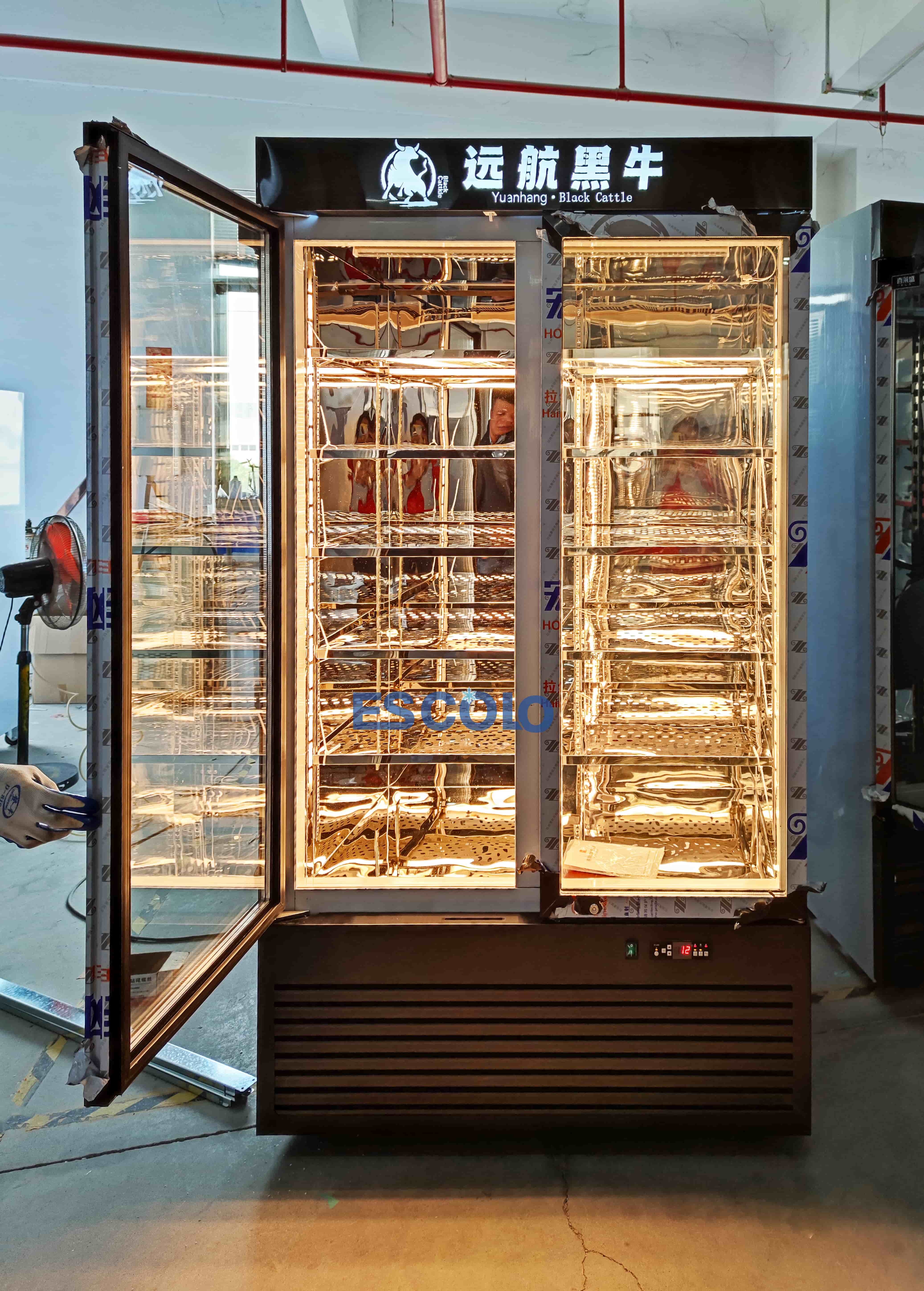 2 Door Commercial Beef Dry Ager | Professional Dry Aging Cabinet for Butcher & Steakhouse